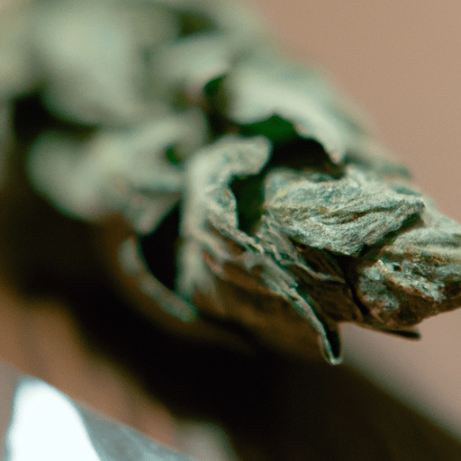 Cannabis Consumption Revolution: A Guide to the New and Innovative Ways to Experience CBD and THC